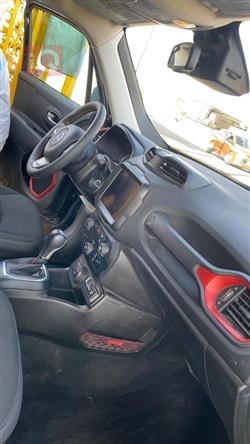 جيب رينيجيد